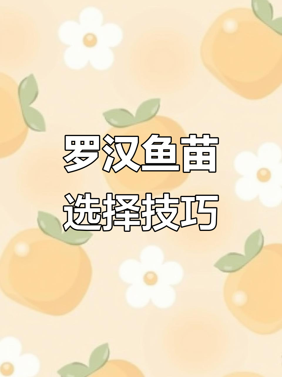 如何挑选罗汉鱼苗?选对头型和体型,养到后期更霸气
