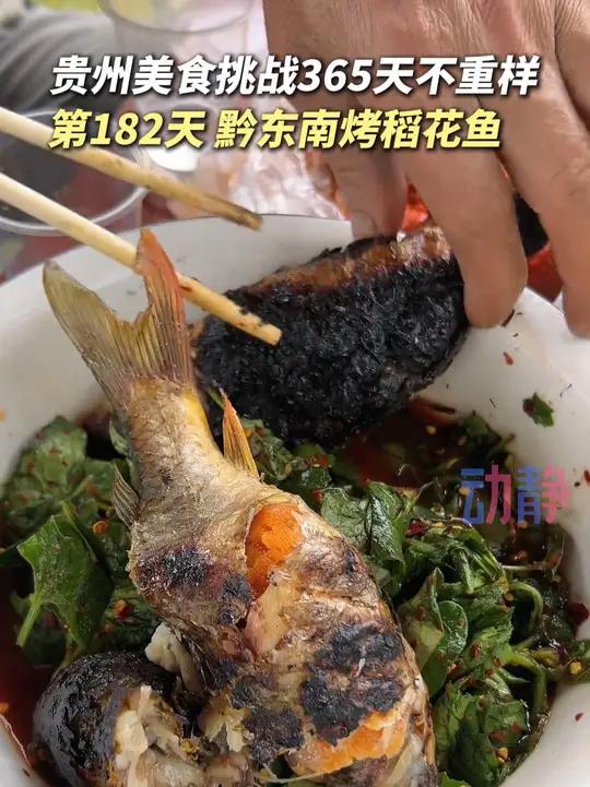 天菩萨，稻花鱼满满的鱼籽，一定超香！贵州太香了贵州美食来源