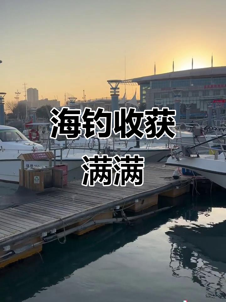 海上钓鱼大丰收,快来体验!