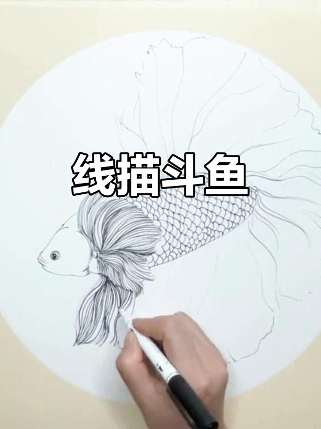 斗鱼线描画:锻炼孩子耐心,学会点、线和面的完美结合
