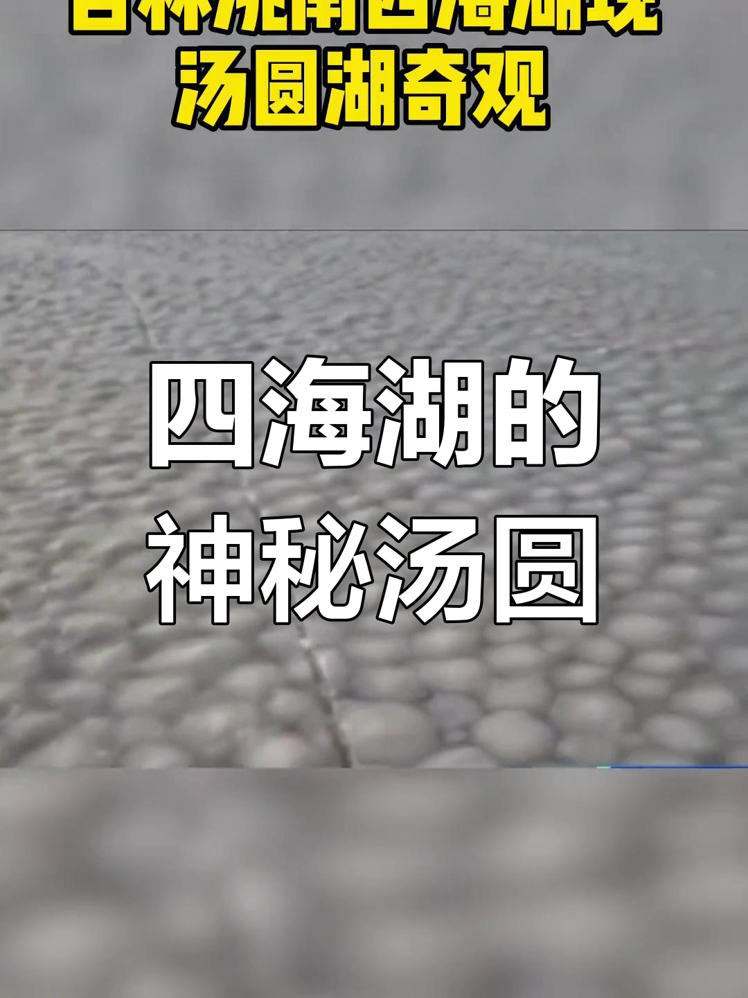 吉林洮南四海湖现“汤圆”奇观,冰团密布如元宵