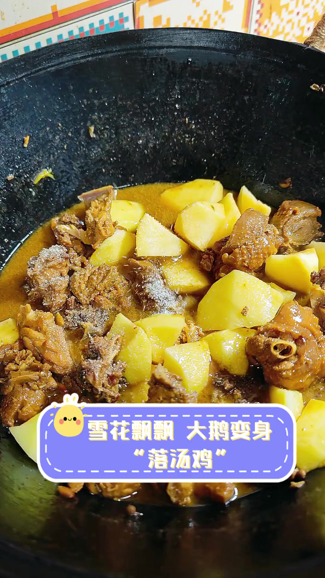 雪花飘飘,大鹅变身“落汤鸡”