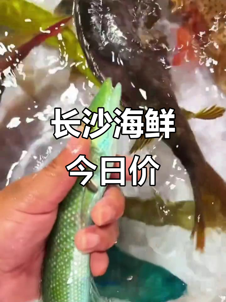 长沙海鲜市场3月10日行情,红衣鱼、罗氏虾等价格大揭秘