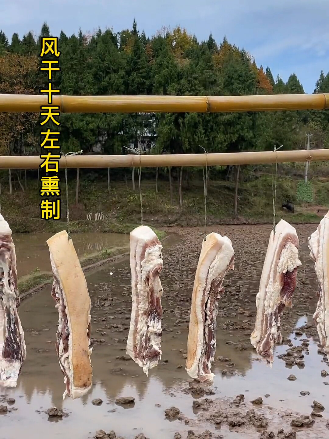 四川腊肉传统腌制方法一斤肉放多少盐