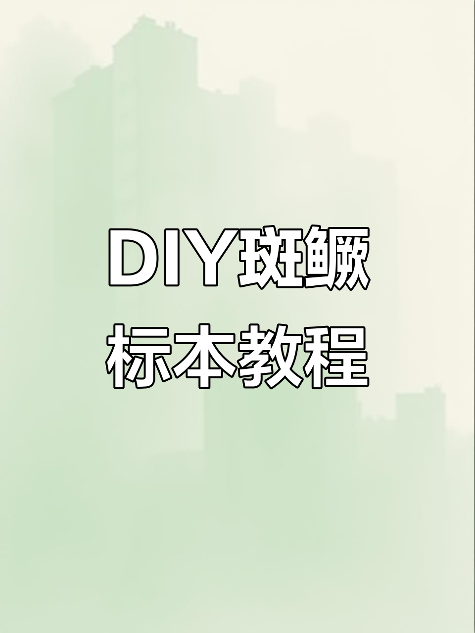 亲手制作斑鳜标本,让每条鱼都讲述独特的故事