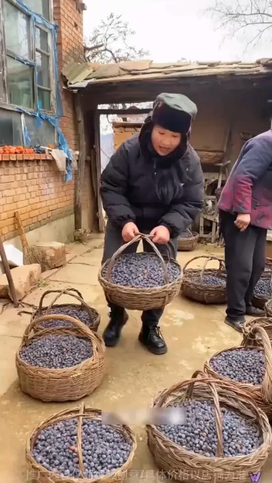 太行山无核黑枣 它是太行山里的一宝,自然成熟,原汁原味的无核黑枣,软糯香甜,营养价值非常丰