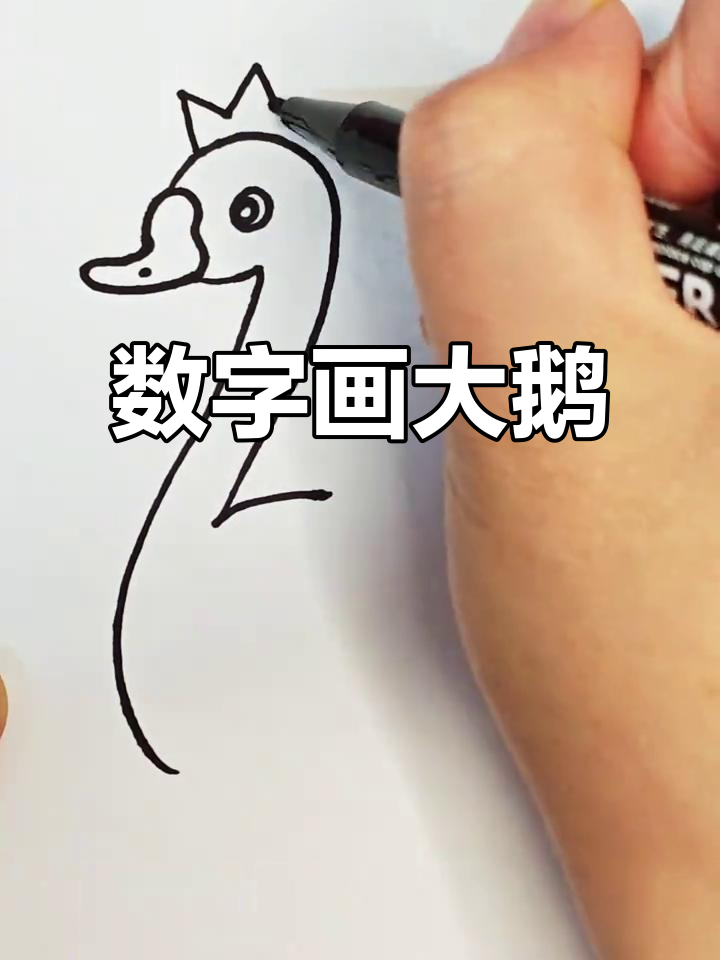 用数字画可爱大白鹅,简单又好玩