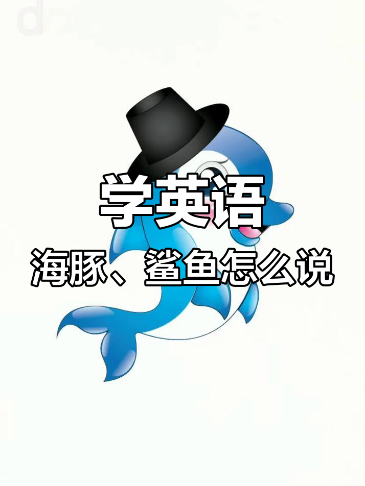 学会这些海洋动物英文,轻松开口说!