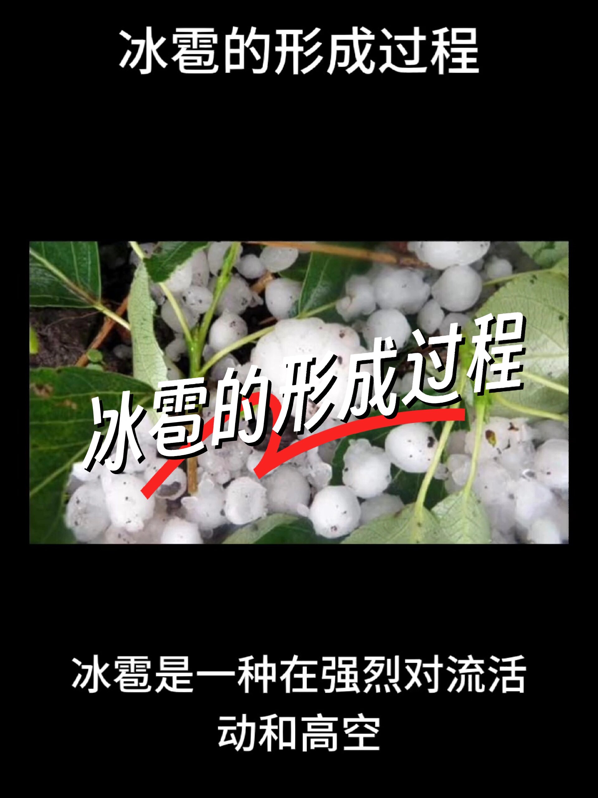 杭州出现冰雹，形成的原因是什么？|冰雹|冰粒|天气_新浪新闻