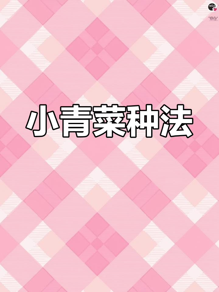 小青菜种植全攻略,简单步骤教你轻松搞定