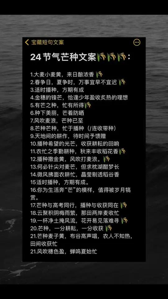 24节气芒种文案 今日文案 文案馆 适合发朋友圈的句子 朋友圈 芒种 分享今日文案 朋友圈