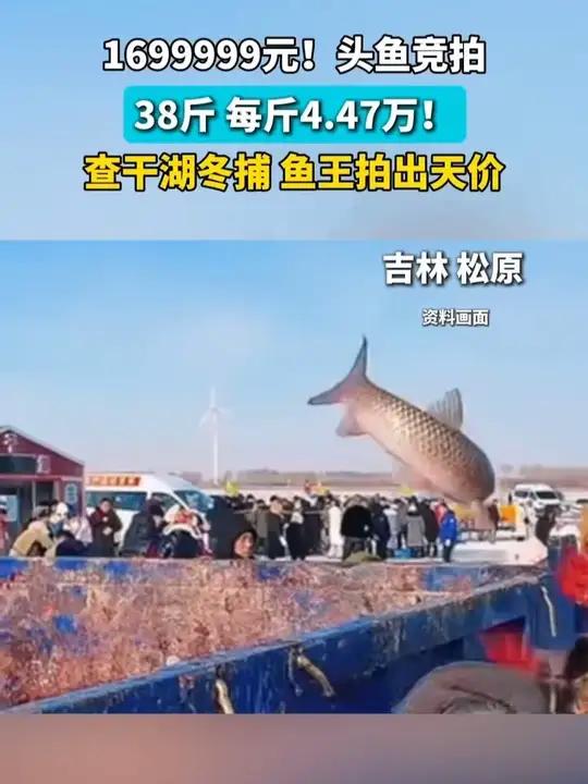 1月8日,吉林·松原查干湖第24届冰雪渔猎文化旅游节开幕。当天,在查干湖湖面上举行的“头鱼