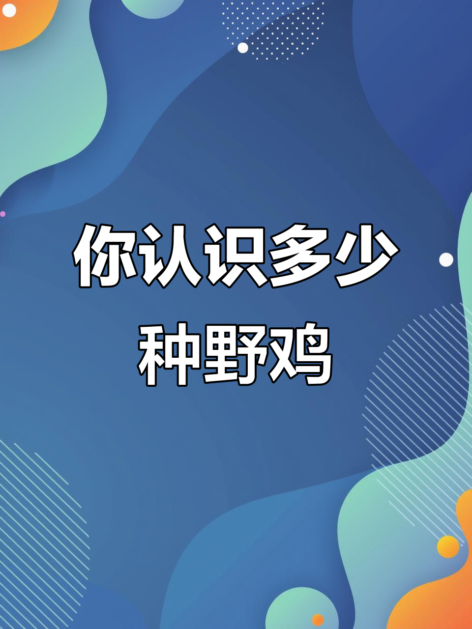 19种野鸡大揭秘,看看你见过几种?