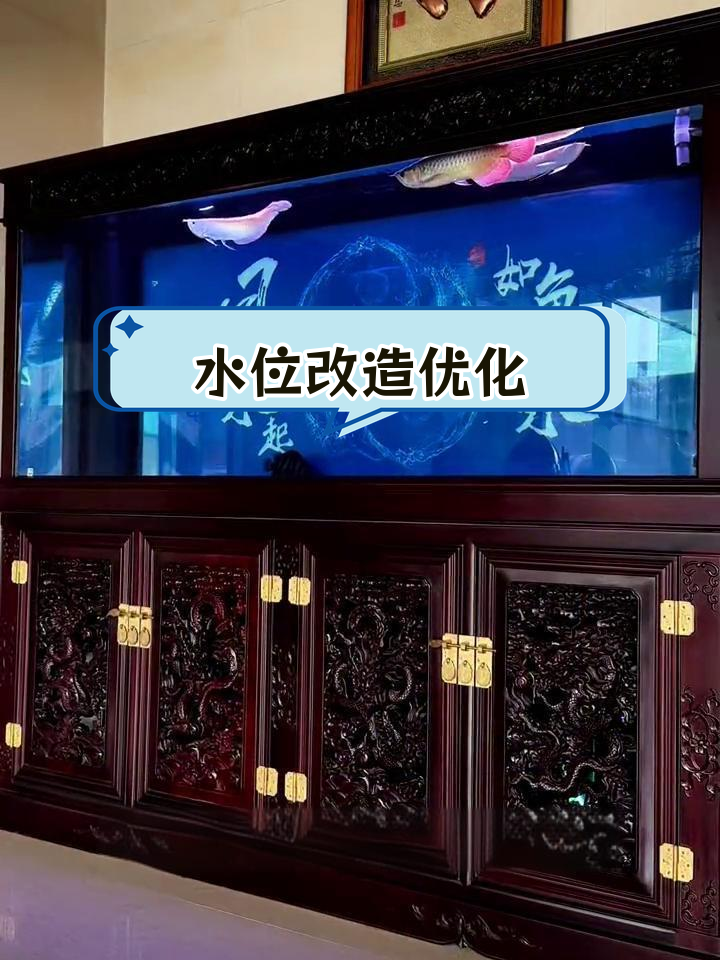 鱼缸水位调整,提升维护效果
