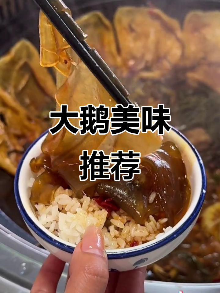 铁锅炖大鹅,汤汁泡饭绝妙搭配!每次必点干豆角和粉皮