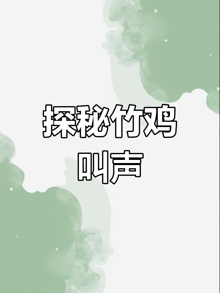 竹鸡音卡大揭秘,了解它们的独特叫声与自然环境