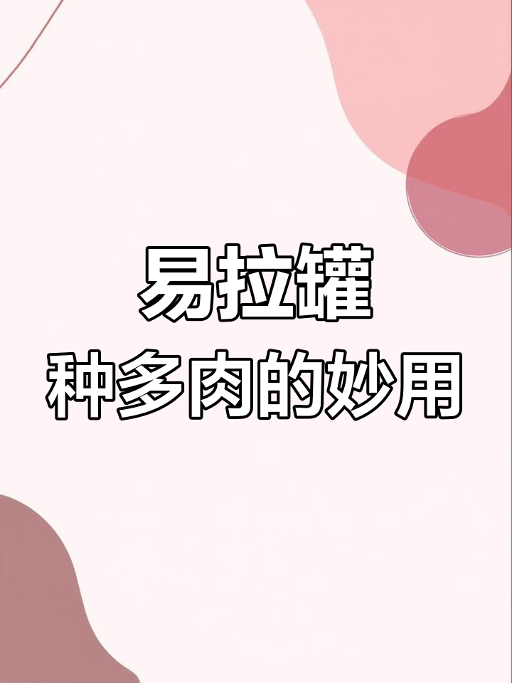 使用易拉罐打造多肉透气花盆,简单又美观