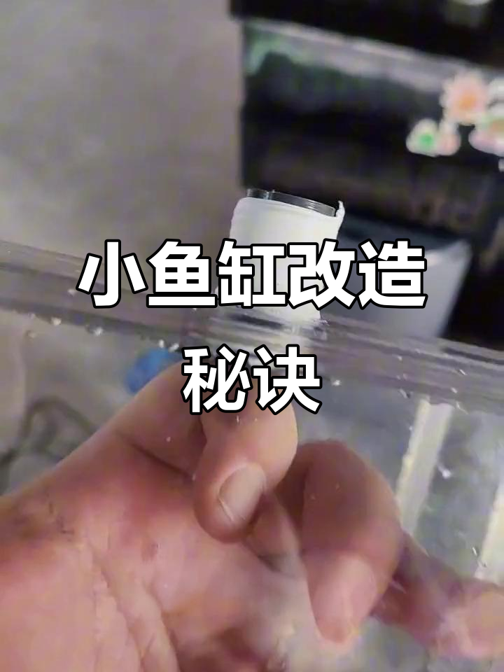 小鱼缸升级,水泵外置与沉淀仓让空间更舒适!