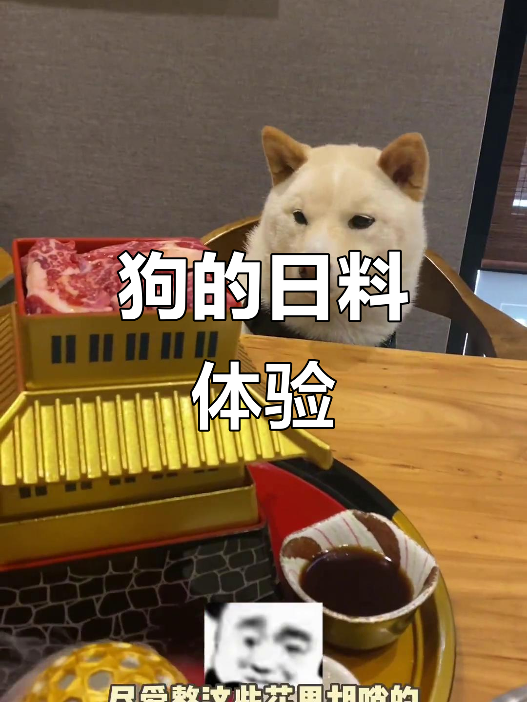 带狗吃日料,农家菜大挑战!