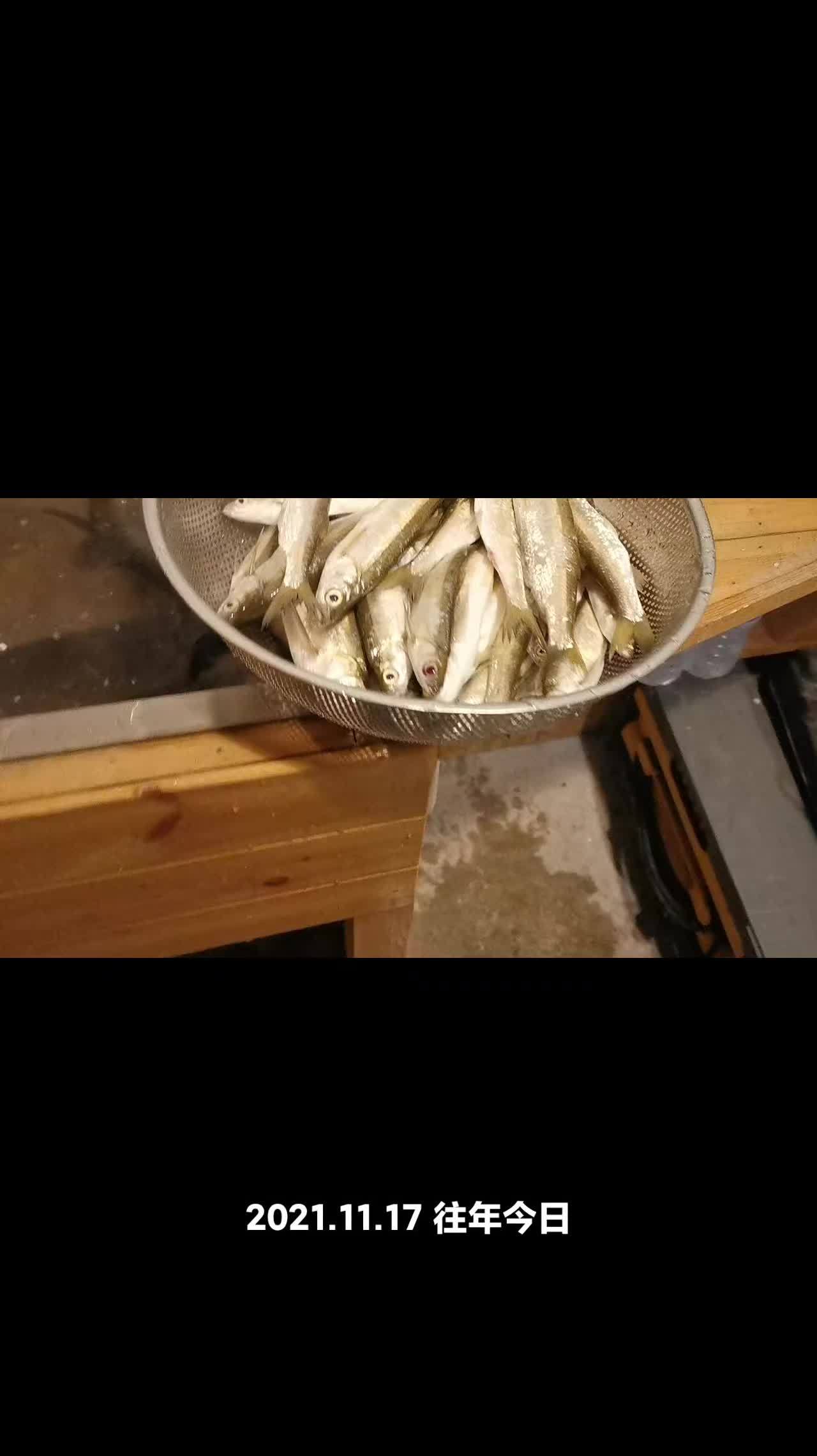 路亚 原来钓鱼才是抖音运动顶流 今天的收获 晒鱼获的视频 真实户外