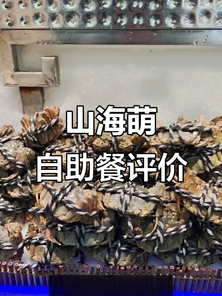 二七万达山海盟自助餐体验:菜品口感参差不齐,性价比一般