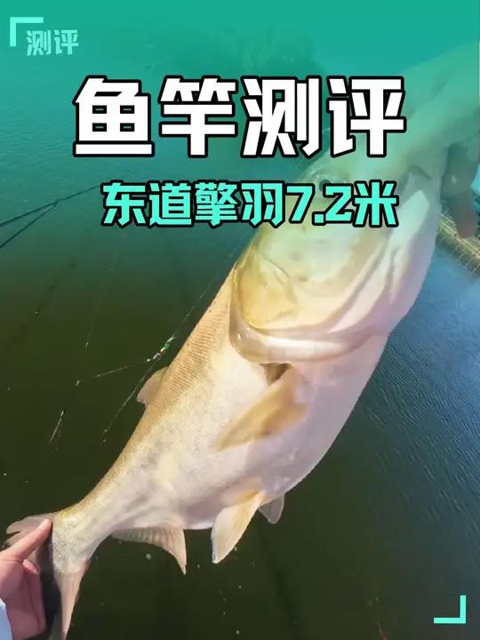 测试最为震惊的鱼竿！狠起来自己都打？钓友委托测试堪比千元的鱼竿！5200g钓重！才仅这么个