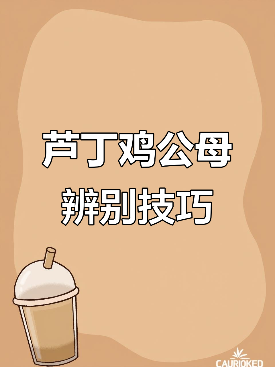 如何区分芦丁鸡公母?从屁股到肚子全解析