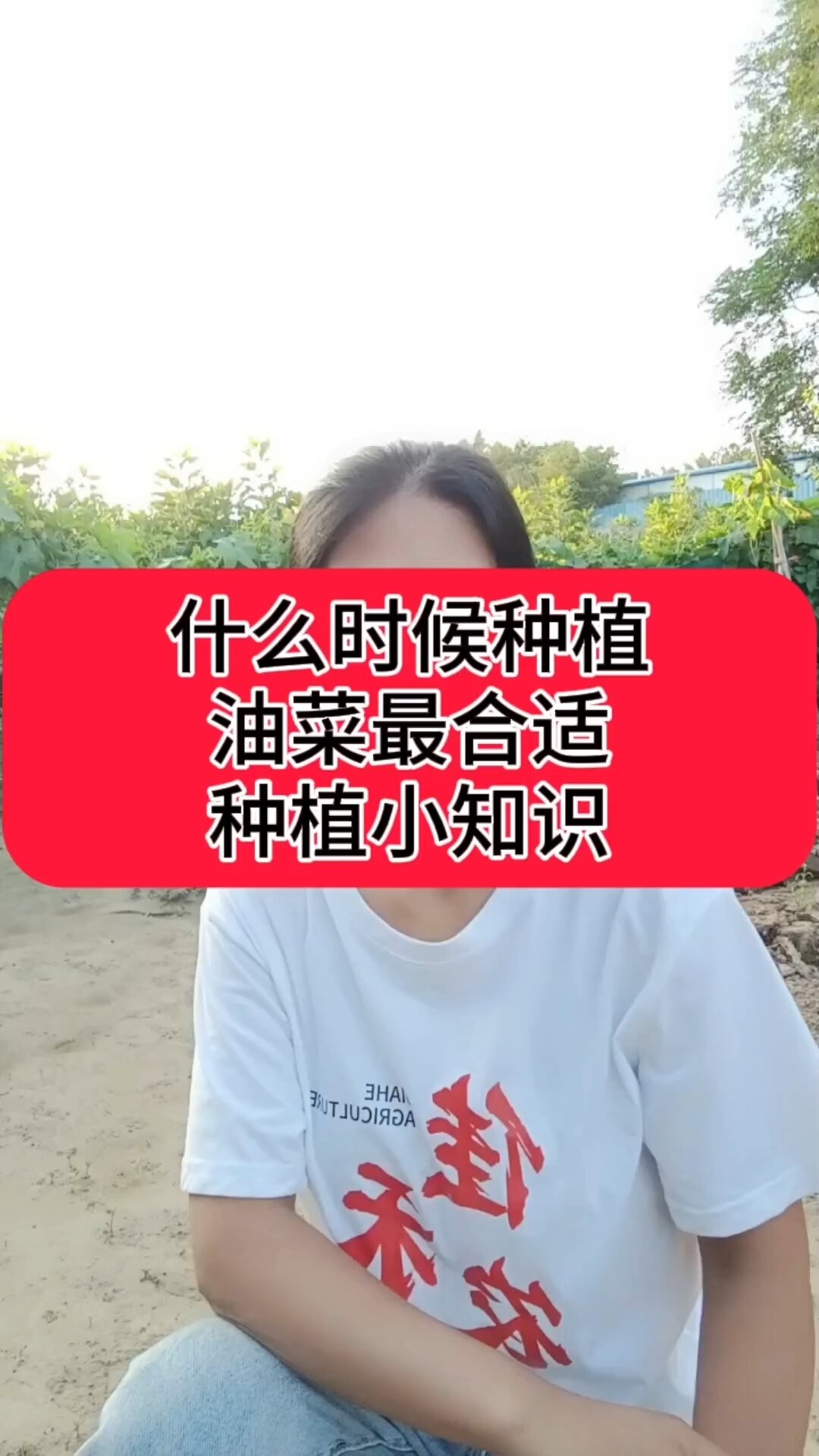 什么时候种植油菜最合适