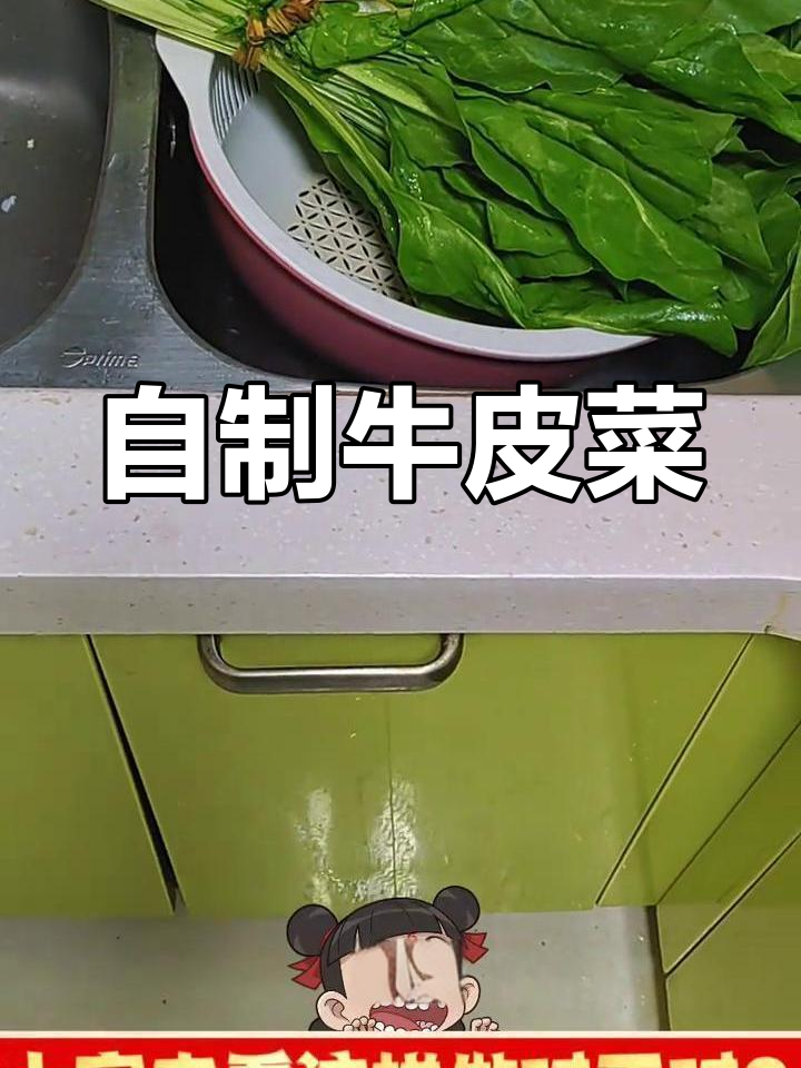 煮牛皮菜,家常做法大揭秘!
