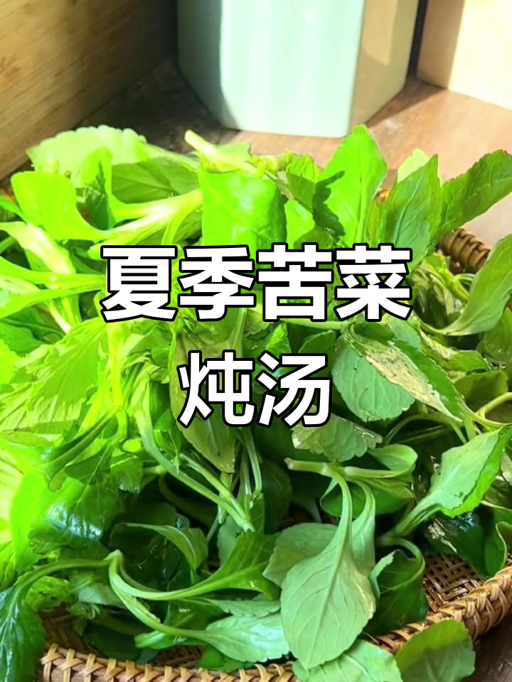 苦菜夏日汤,排骨小肠搭配最清爽