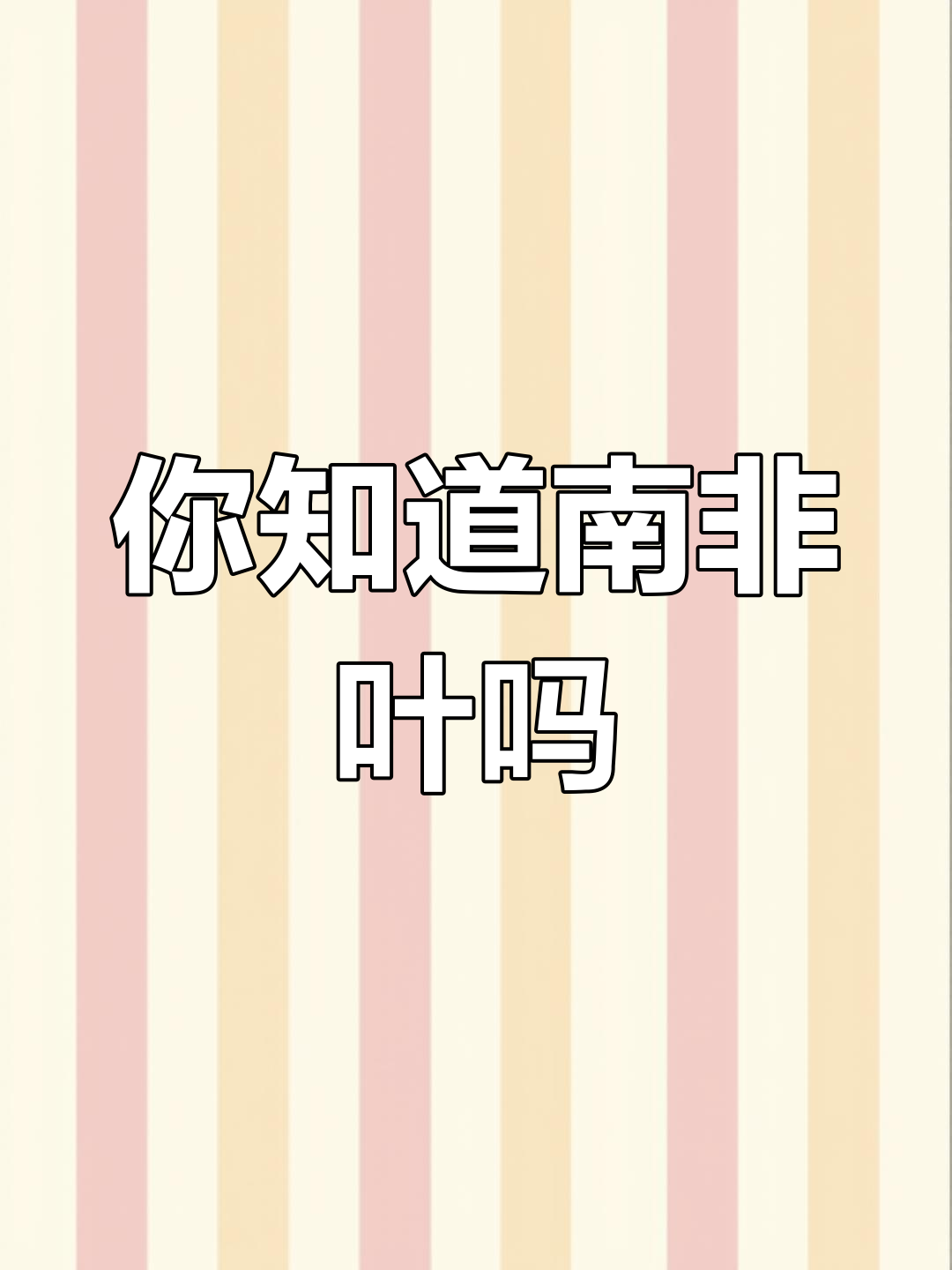 南非叶的神奇功效,你了解吗?