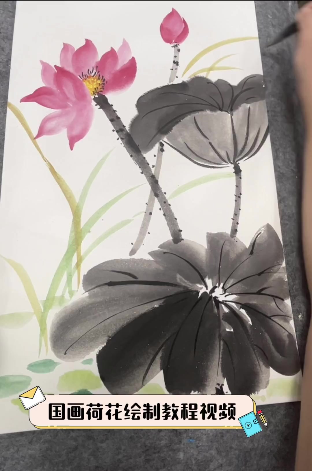 国画荷花绘制教程视频
