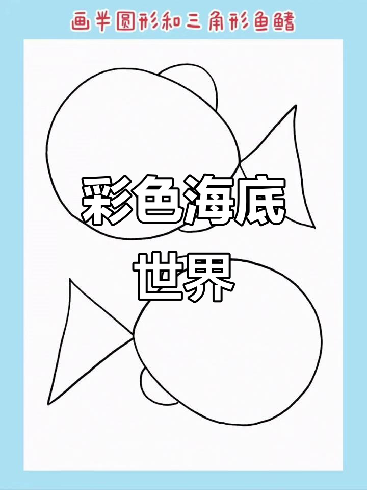 海底彩虹鱼,色彩斑斓,快乐游弋!
