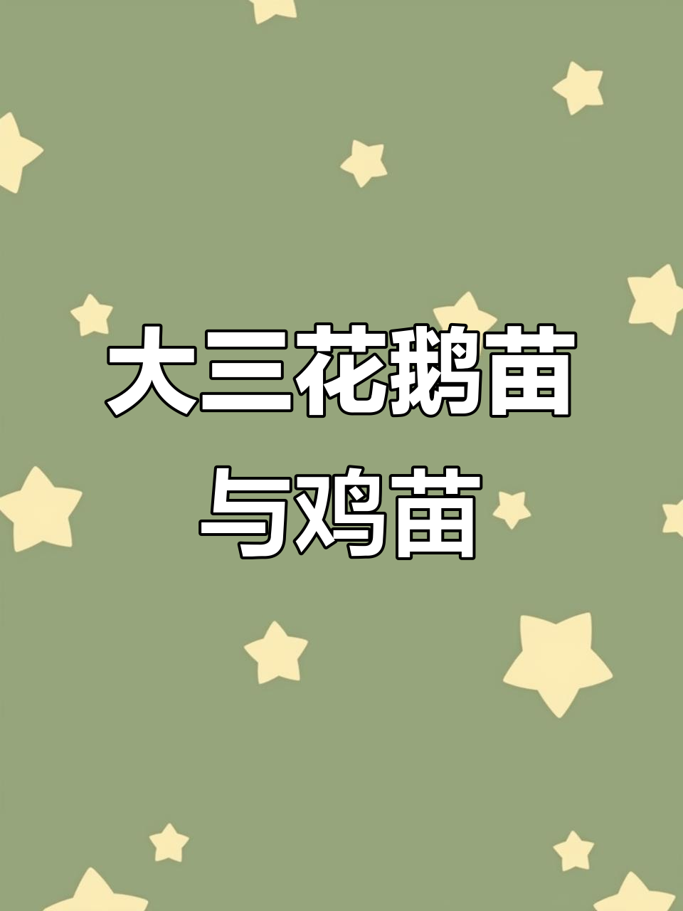 洪庄杨孵化场:大三花鹅苗与鸡苗的完美结合