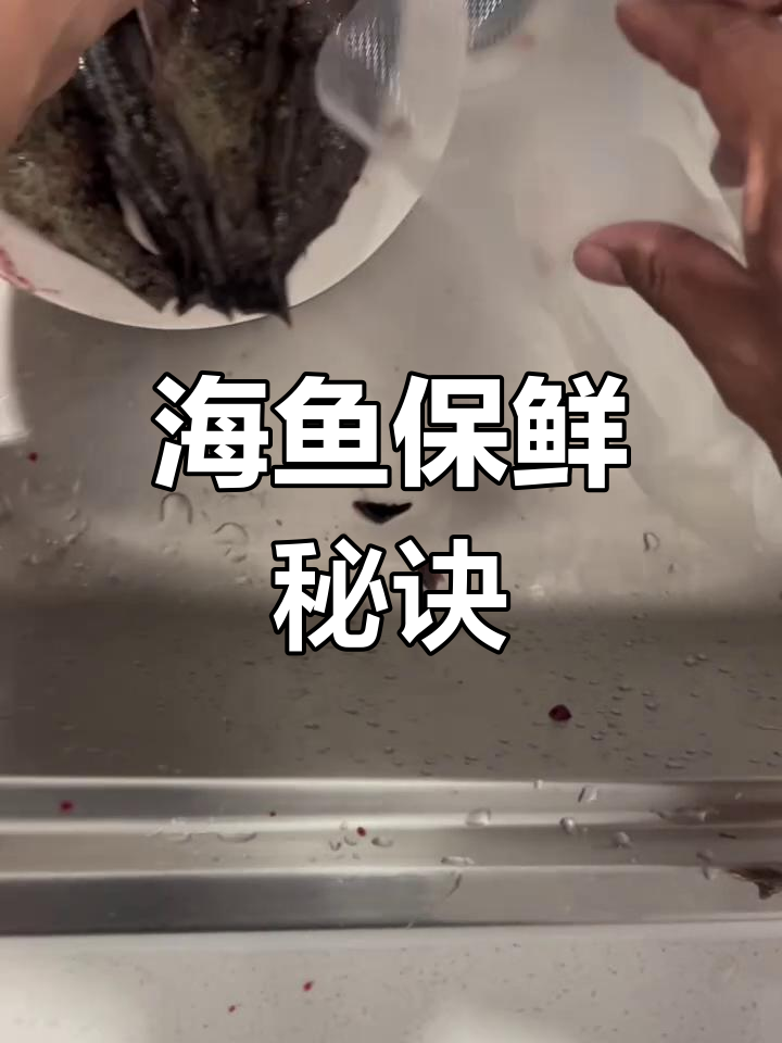 保鲜海鱼四步法:剪鳍、去内脏,真空密封后冷冻