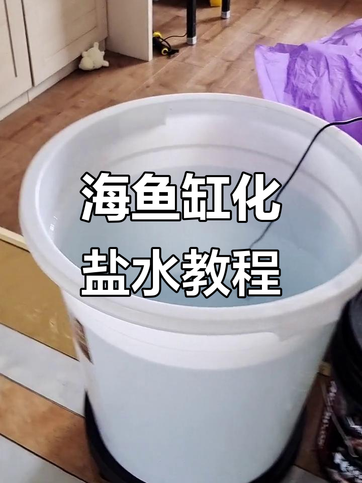 海水鱼缸换水化盐技巧,轻松搞定珊瑚养护