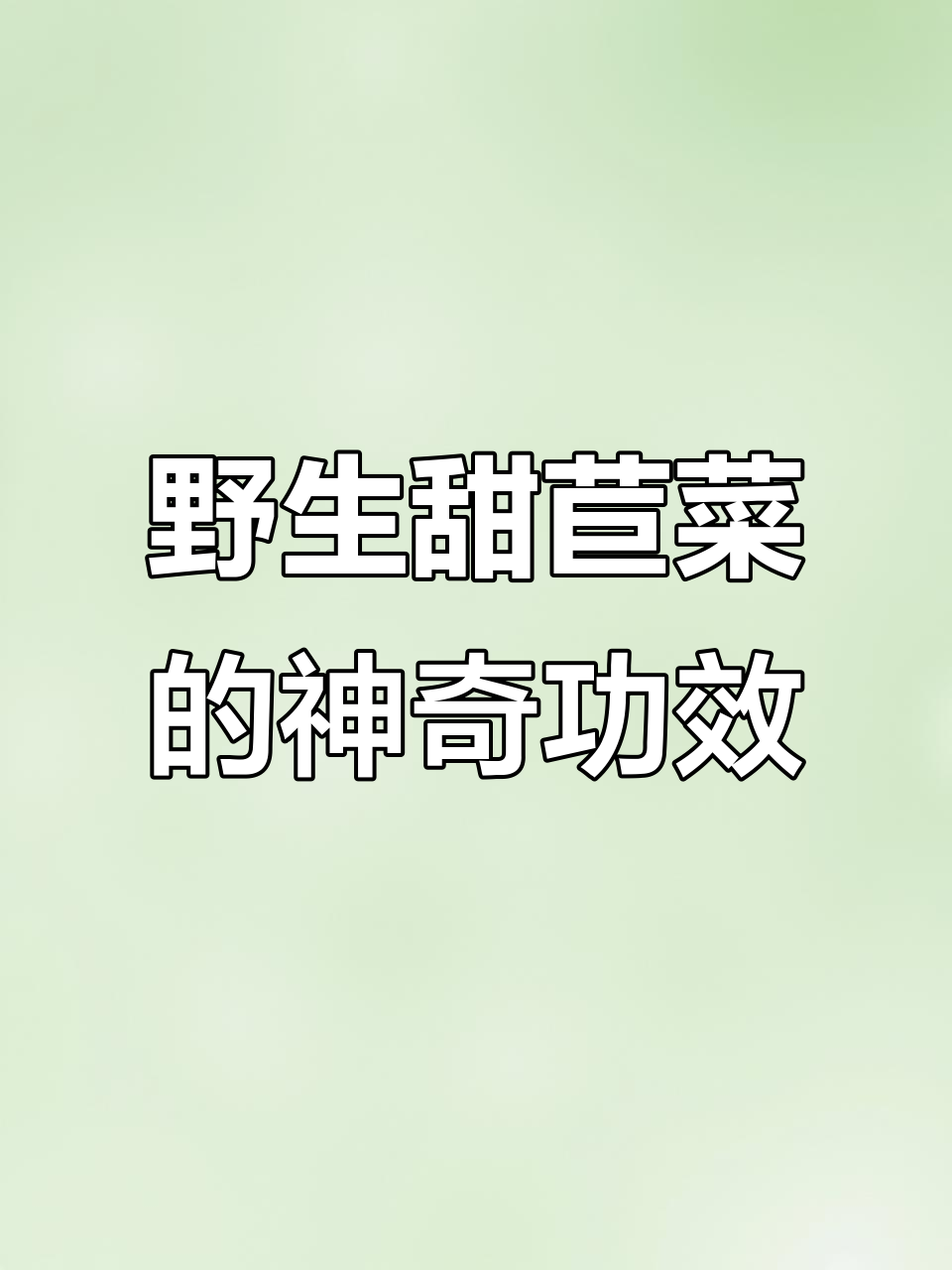 野生甜苣菜,清凉去火又通便,减肥效果超乎想象