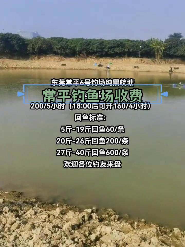 东莞常平6号钓场收费标准与回鱼价格