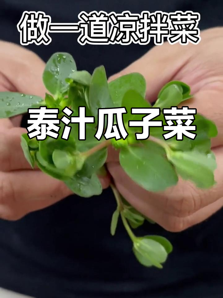 酸爽凉拌瓜子菜