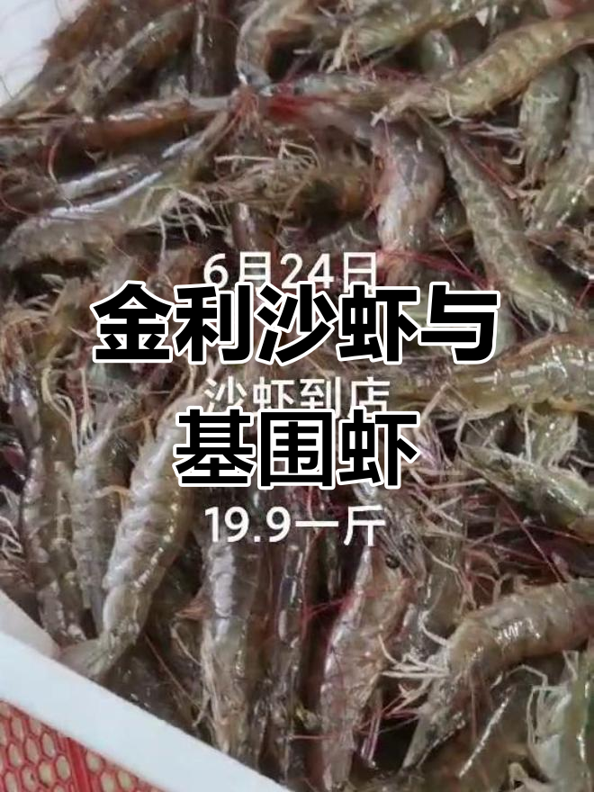 6月24日肇庆高要金利沙虾基围虾大揭秘!