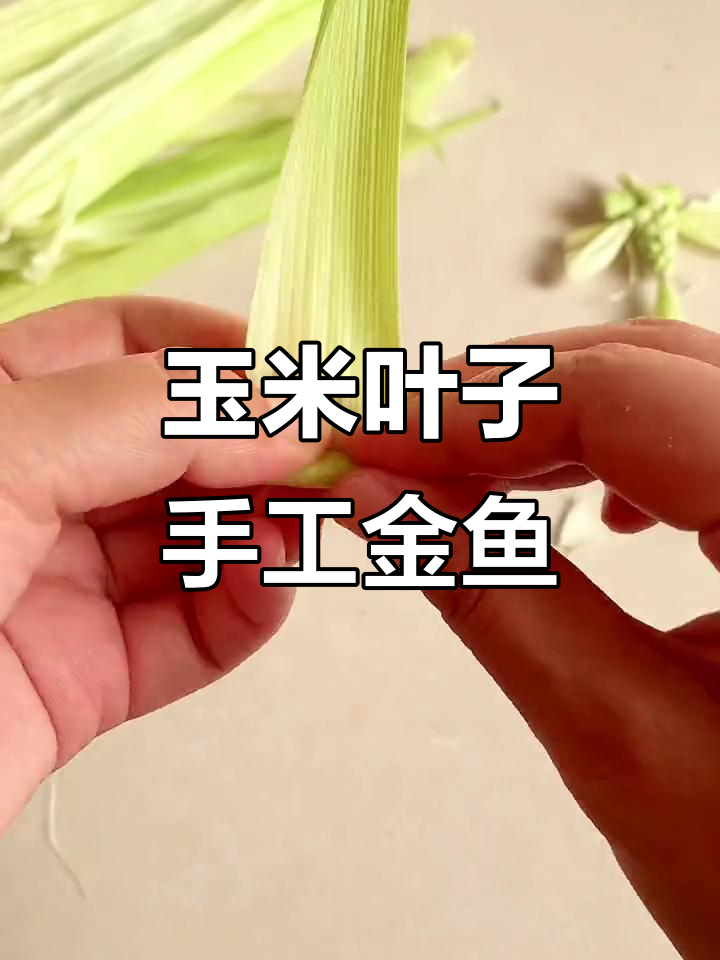 用玉米叶做小金鱼,简单又有趣!