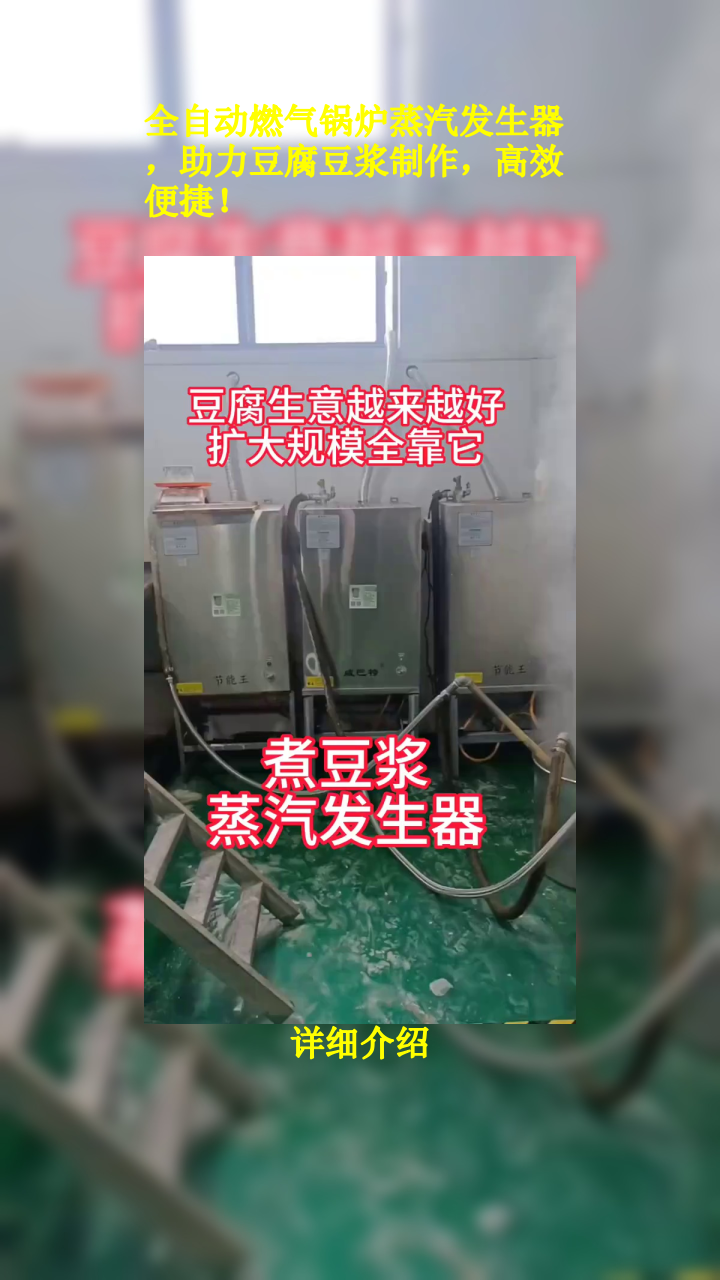 全自动燃气锅炉蒸汽发生器,助力豆腐豆浆制作,高效便捷!