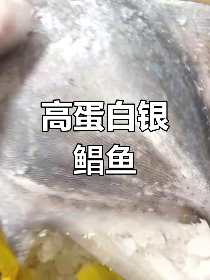 深海银鲳鱼,营养丰富适合孩子食用