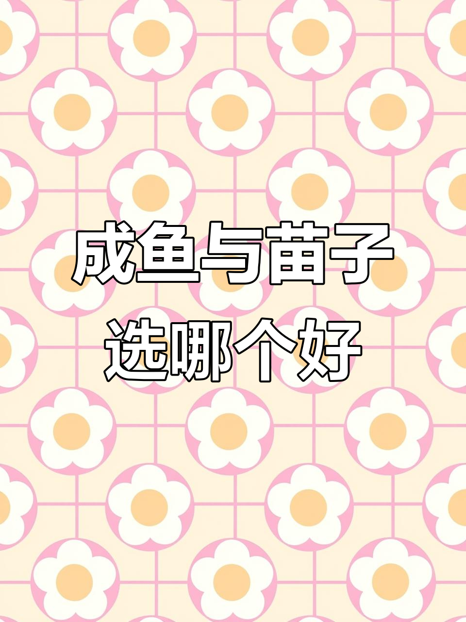 雷龙鱼苗子和成鱼的优缺点分析,新手养哪种更合适?