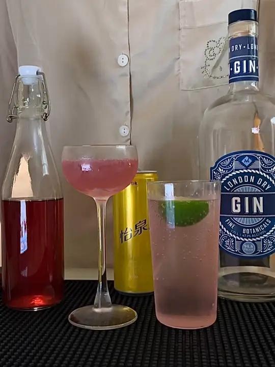 强推低温慢煮|蔓越莓金酒 调酒日记微醺鸡尾酒调酒酒蒙子的日常