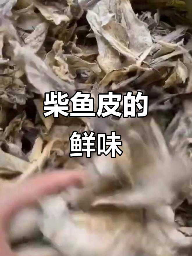 柴鱼皮煮汤,鲜美又滋补,搭配冬瓜花生粥更佳