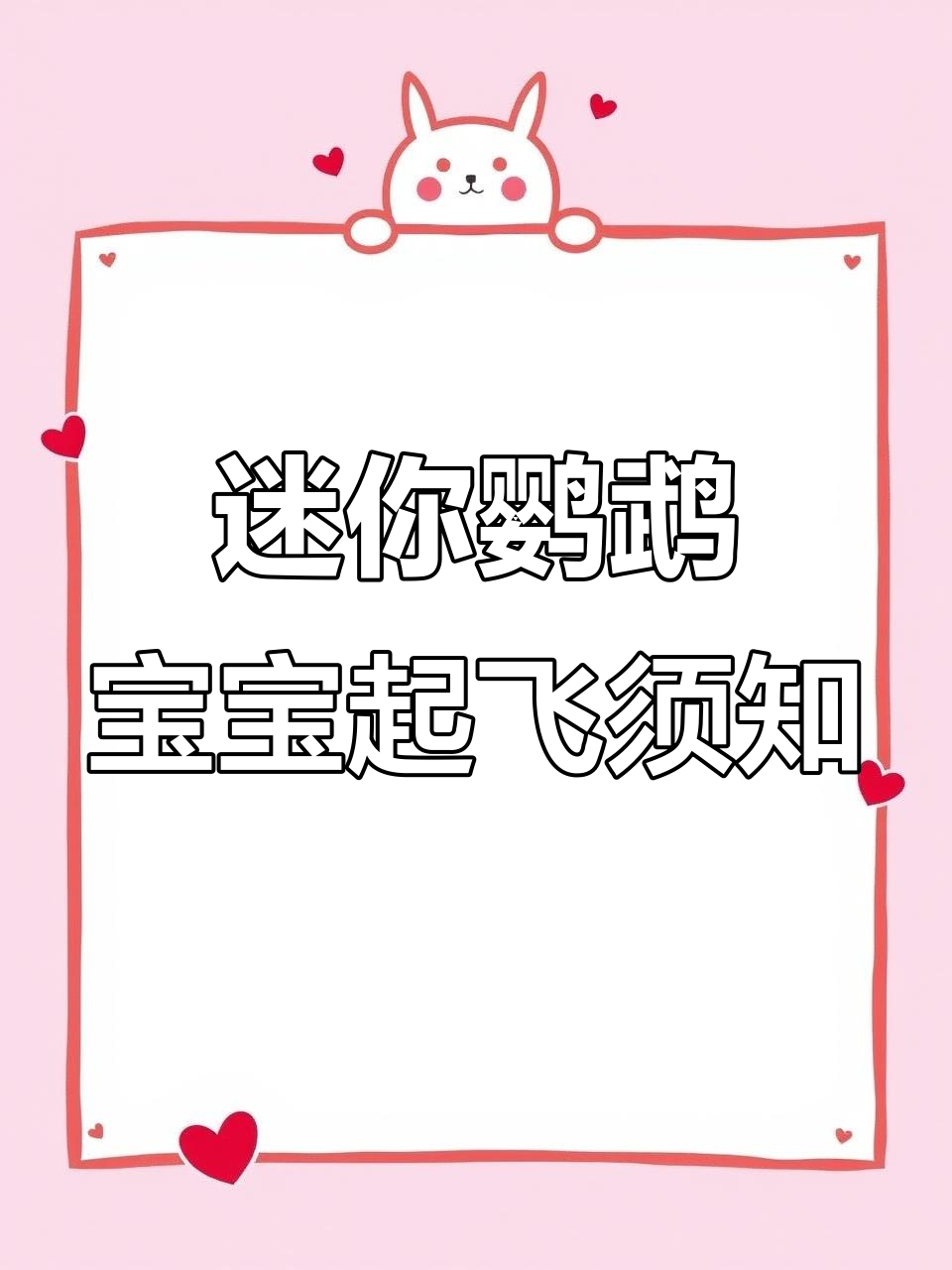 迷你鹦鹉宝宝起飞前注意事项,如何避免大鱼吞食