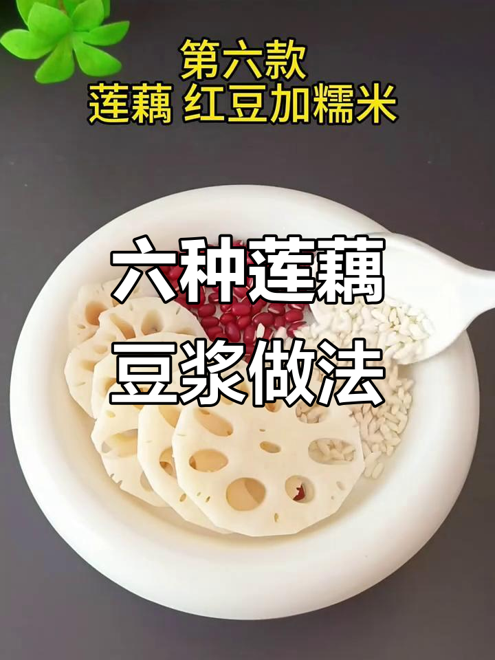 秋季莲藕搭配全攻略,六款美味豆浆让你健康过秋