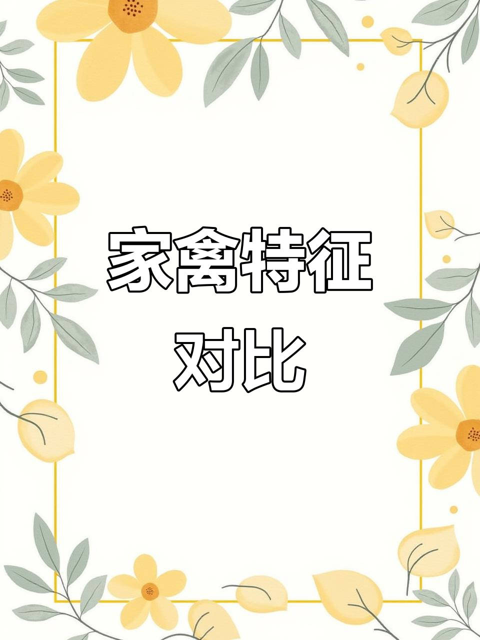 鸭子比鸡大,有蹼足;鹅则更大,不会飞