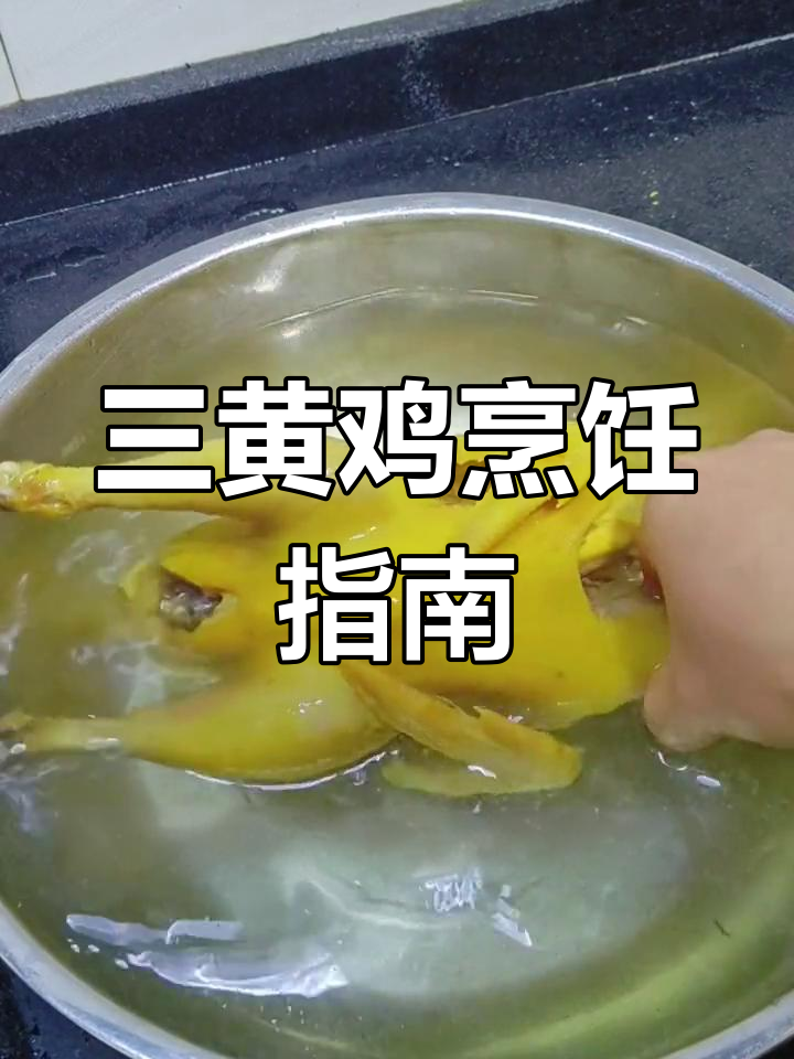 煮三黄鸡与清远鸡,详细步骤尽在这里!